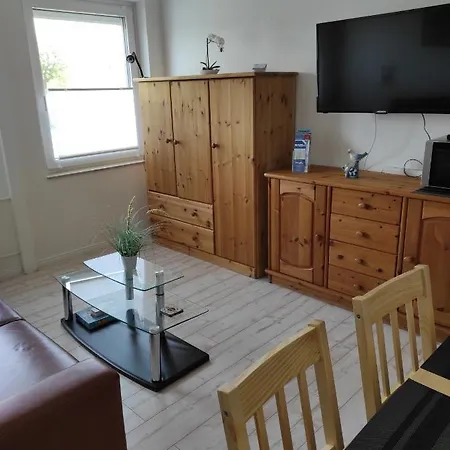 Sealion Seeloewe Trischenweg 1 Büsum