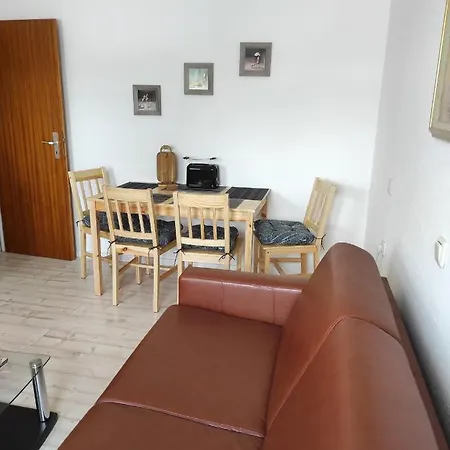 Sealion Seeloewe Trischenweg 1 *