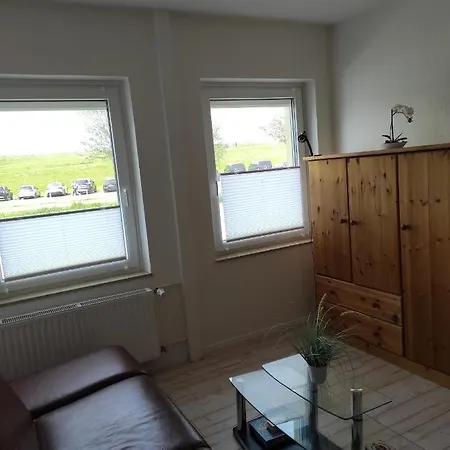 Sealion Seeloewe Trischenweg 1 Büsum