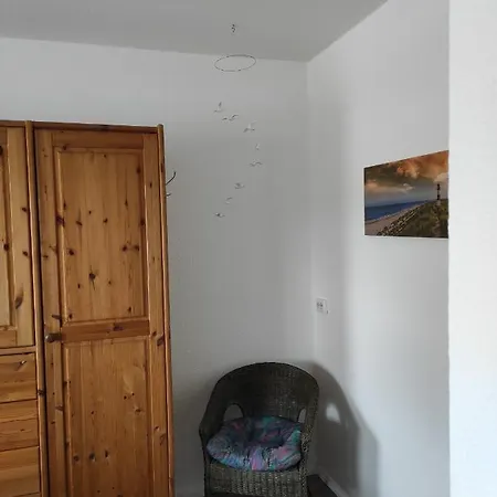 Sealion Seeloewe Trischenweg 1 * Büsum