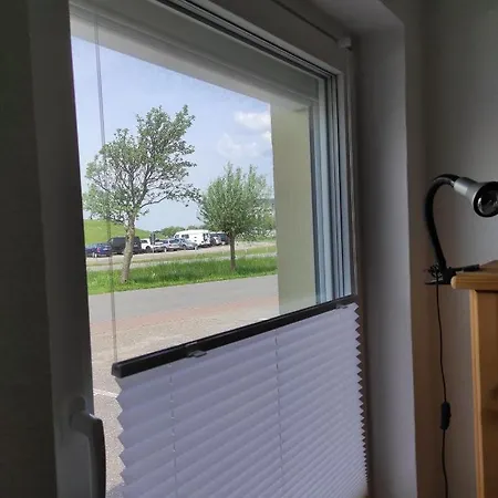 Sealion Seeloewe Trischenweg 1 Büsum