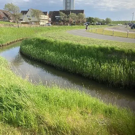 Sealion Seeloewe Trischenweg 1 * Büsum