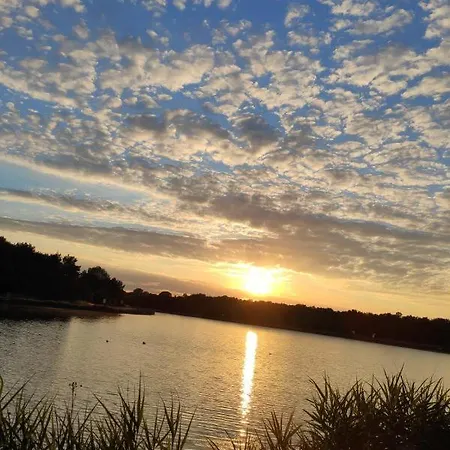 Sealion Seeloewe Trischenweg 1