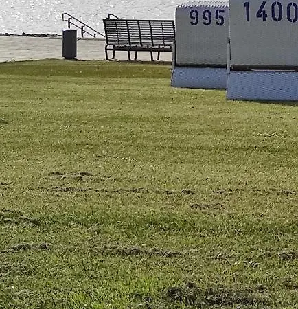 Sealion Seeloewe Trischenweg 1 * Büsum