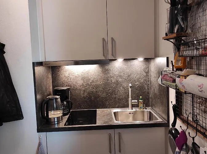 公寓 Sealion Seeloewe Trischenweg 1 *