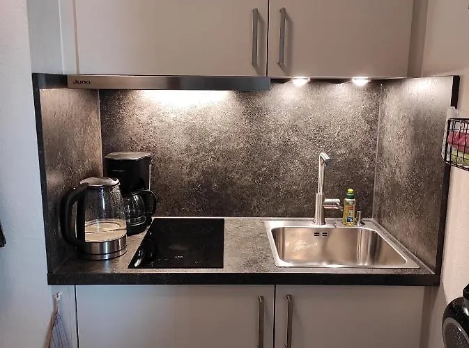 Sealion Seeloewe Trischenweg 1 *