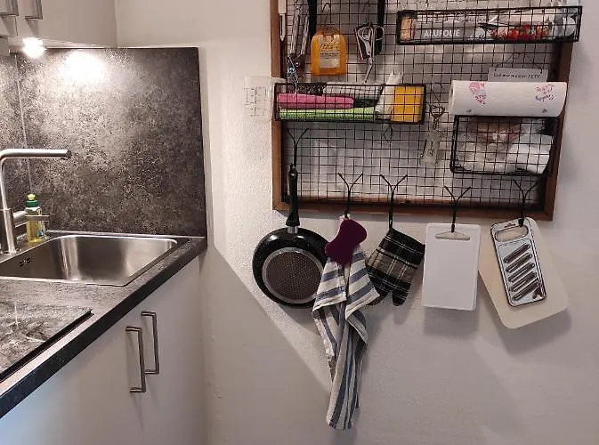 Sealion Seeloewe Trischenweg 1 *