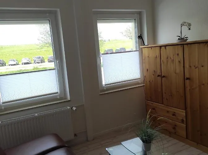 Sealion Seeloewe Trischenweg 1 比苏姆