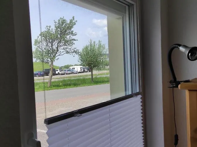 Sealion Seeloewe Trischenweg 1 부숨