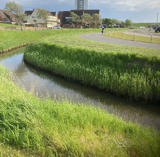 Sealion Seeloewe Trischenweg 1 * 부숨