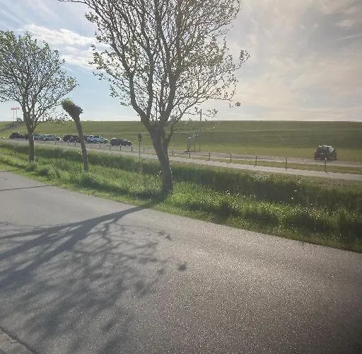 公寓 Sealion Seeloewe Trischenweg 1 比苏姆