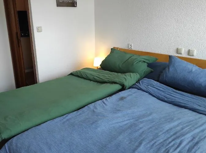 Sealion Seeloewe Trischenweg 1 * 부숨